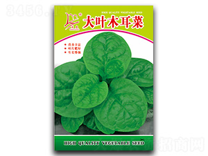 ���~ľ����-ľ���˷N��-�}�ʷN�I(y��)