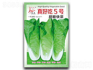 ��ó�5̖-��˷N��-�}�ʷN�I(y��)