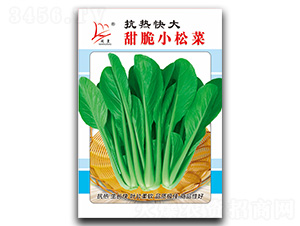 ���С�ɲ�-�ɲ˷N��-�}�ʷN�I(y��)