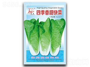 �ļ�������-��˷N��-�}�ʷN�I(y��)