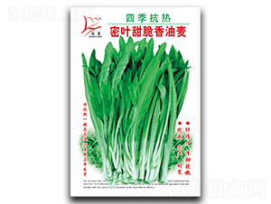 ���~���������-�����˷N��-�}�ʷN�I(y��)