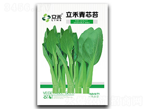 ������о̦-��̦�N��-�}�ʷN�I(y��)