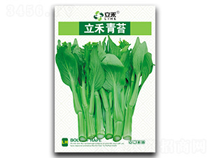 ������̦-��̦�N��-�}�ʷN�I(y��)