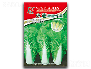 ���������-��˷N��-�}�ʷN�I(y��)