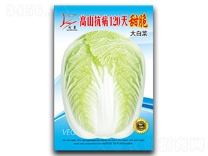 ���𿹲�120��-�ײ˷N��-�}�ʷN�I(y��)