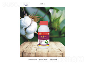 �½��޻������{(di��o)��(ji��)��-��ʡ��-һ����