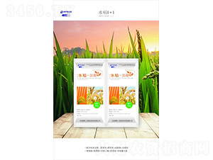 ˮ��1+1-һ����