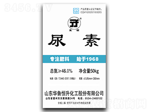 С�w������-���x-�A������