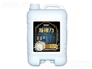 �l(f��)����-�ú���-������