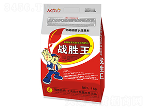 �_ʩ��-��(zh��n)����-�����r(n��ng)��