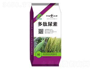 ��������-�G�S����