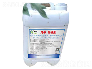 ��ţ������-Ҳţ����