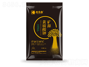 �VԴ�S�����-�Ğ���-���B��