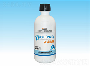 �������~-���ٌ�����