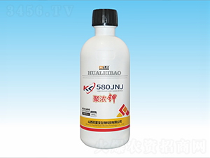 �۝��-���ٌ�����