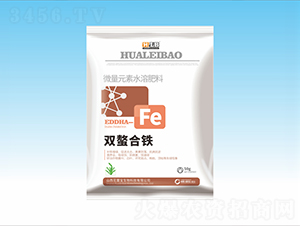 �p�����F-���ٌ�����