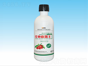 �t��������-���ٌ�����