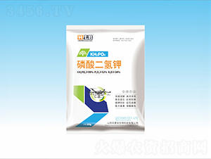 ��������-���ٌ�����