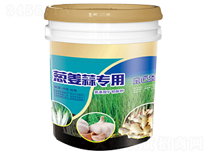 �[���⌣�ð�����V�����-����