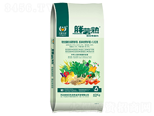 ΢�������-������-������