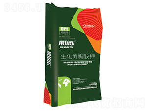 �����S�����-������(l��)-���՘�(l��)