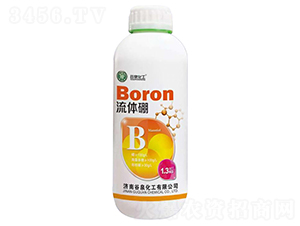 ���w��-��Ȫ����