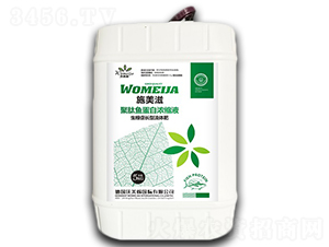 �������L(zh��ng)�;����~(y��)���ם�sҺ-ʩ����-������