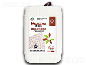 �V�Vͨ���;����~���ם�sҺ-ʩ����-������