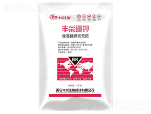 ��������pԪ��-�S�����-�S������