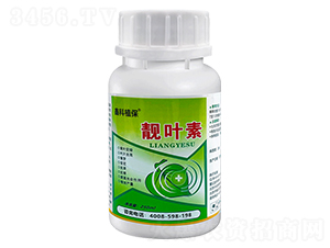 �n�~��-�S�~һ���G-�ο�ֲ�� 