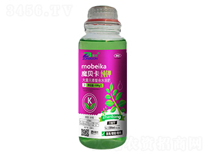 ���-ħؐ��-չ��