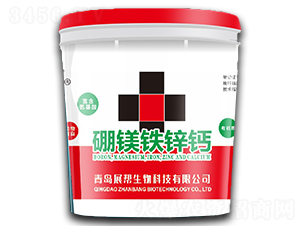 ���V�F�\�}-չ��