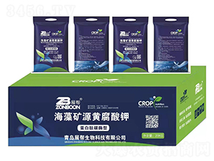 ����VԴ�S�����-չ��