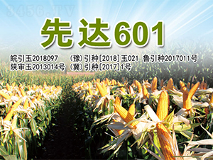 ���_(d��)601-���׷N��-�����N�I(y��)