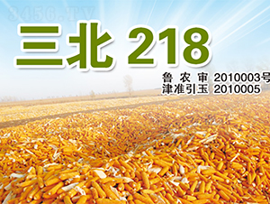 ����218-���׷N��-�����N�I(y��)