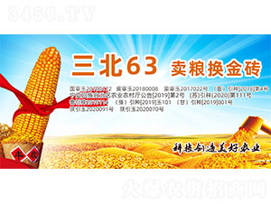 ����63-���׷N��-�����N�I(y��)