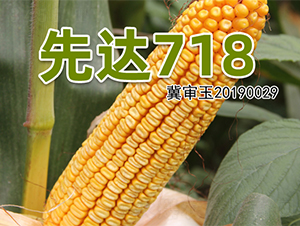 ���_(d��)718-���׷N��-�����N�I(y��)