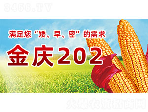 ��c202-���׷N��-�����N�I(y��)