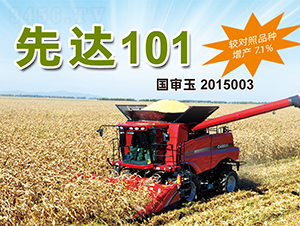 ���_(d��)101-���׷N��-�����N�I(y��)