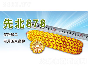 �ȱ�878-���׷N��-�����N�I(y��)