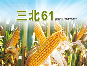 ����61-���׷N��-�����N�I(y��)