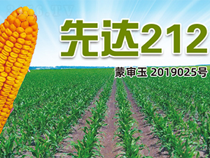 ���_(d��)212-���׷N��-�����N�I(y��)