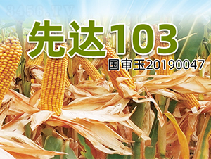 ���_(d��)103-���׷N��-�����N�I(y��)