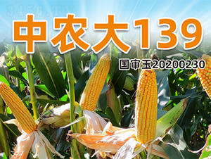 ���r(n��ng)��139-���׷N��-�����N�I(y��)