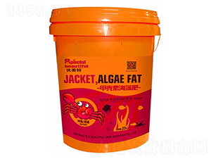 �ך��ء������-��(y��u)����