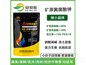 �VԴ�S�����-������-ힲ�����