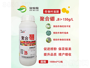 �ۺ����~���-������