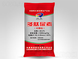 ��������-����