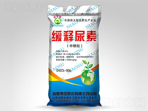 �������-�|ƽ��-����