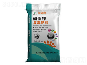 ����⛏�(f��)�����-�����r(n��ng)�I(y��)